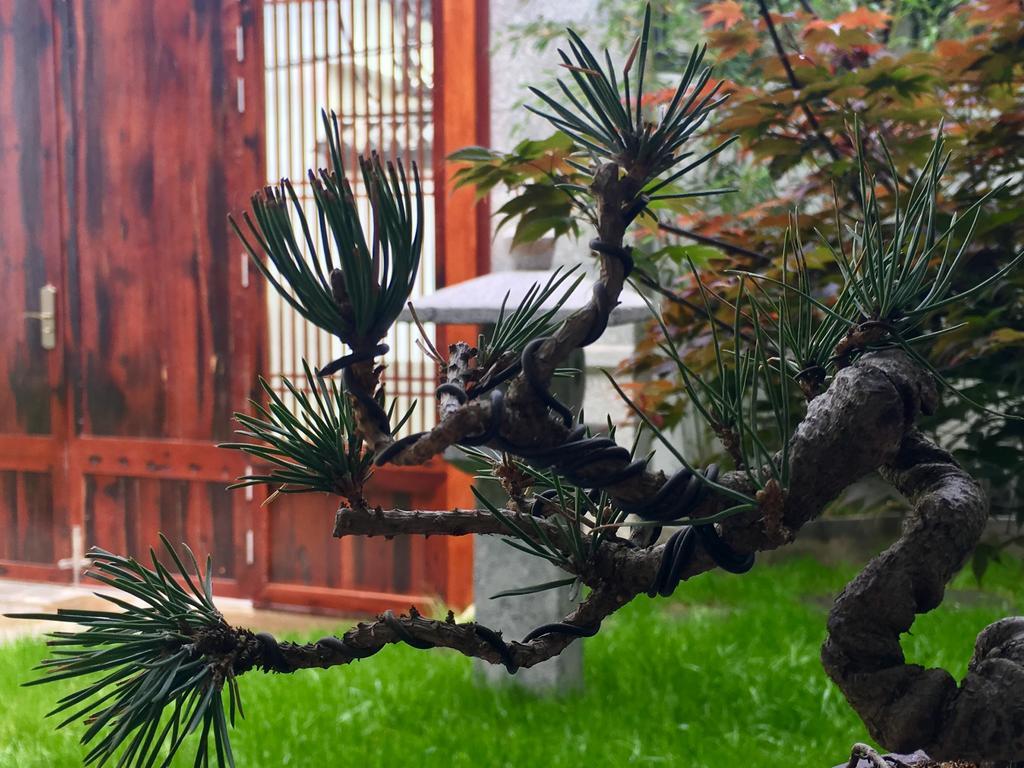 Bo Nan Homestay Dali  Dış mekan fotoğraf